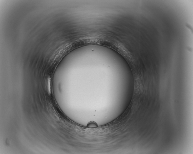 X0000100380022200806201701