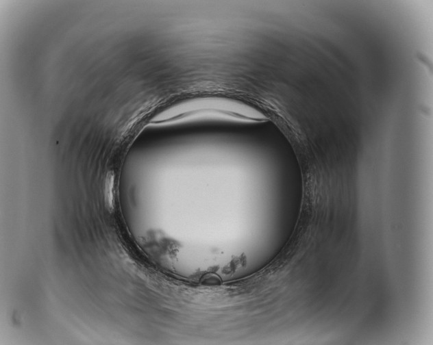 X0000100380024200806201701
