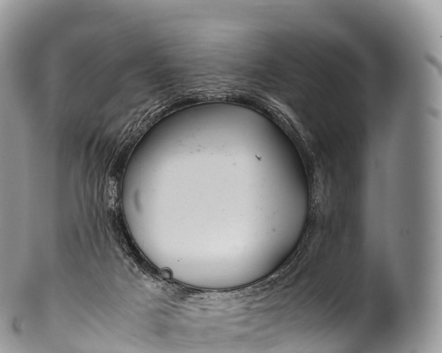 X0000100380025200806201701