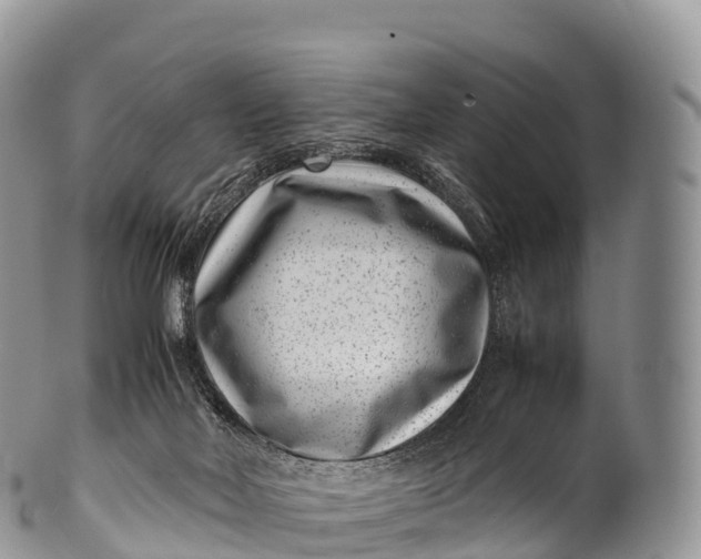 X0000100380026200806201701