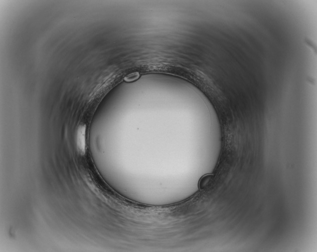 X0000100380028200806201701