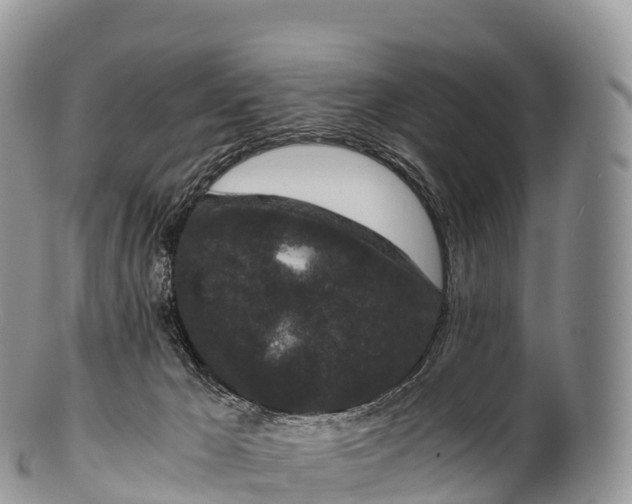 X0000100380029200806201701
