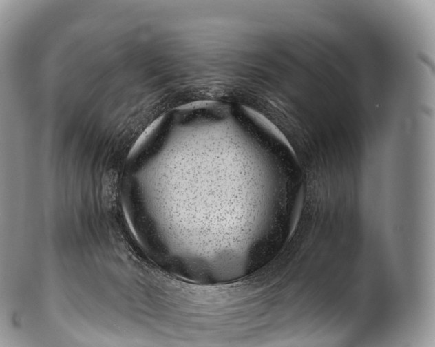 X0000100380030200806201701
