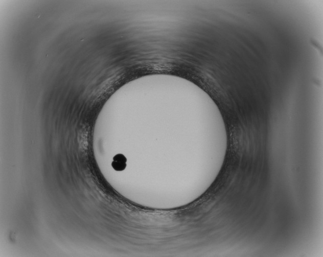 X0000100380032200806201701