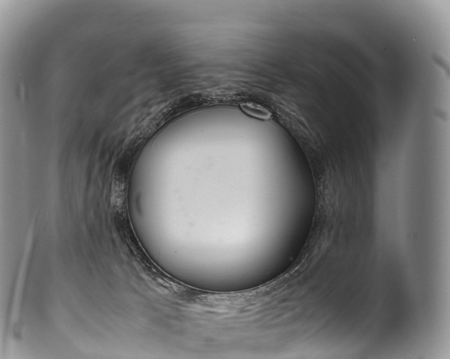 X0000100380033200806201701