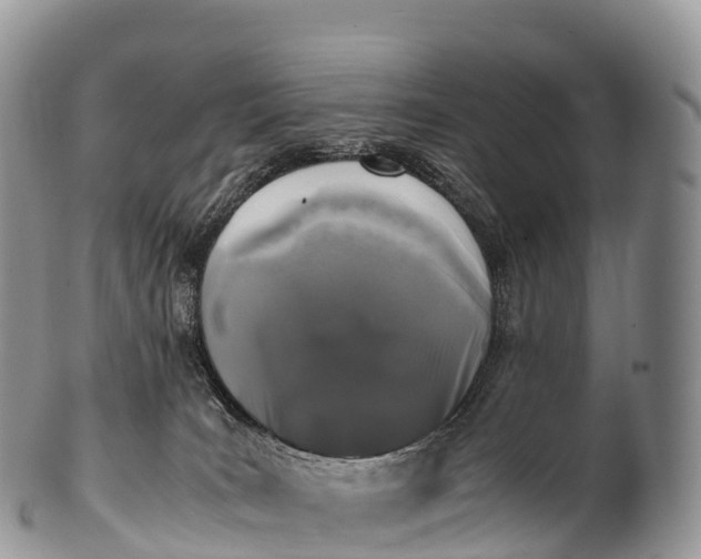 X0000100380035200806201701