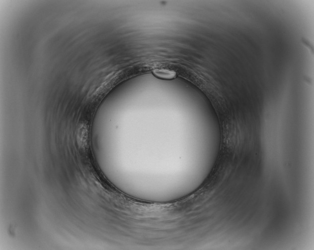 X0000100380036200806201701