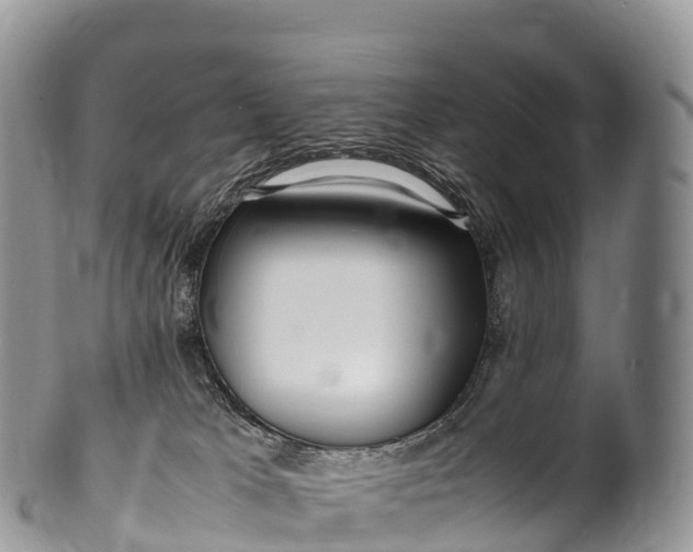 X0000100380037200806201701