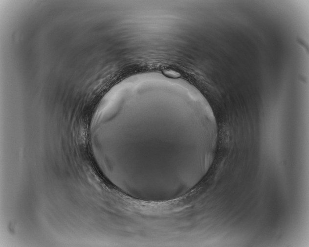 X0000100380039200806201701
