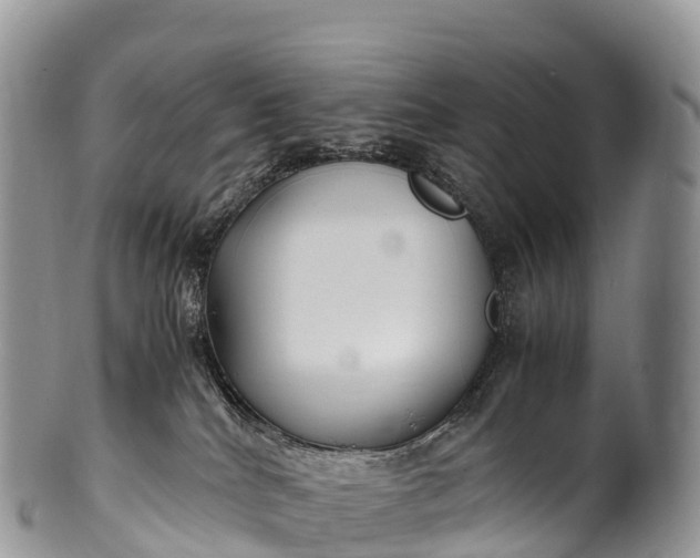 X0000100380040200806201701
