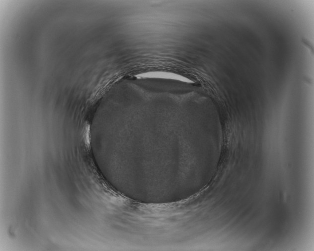 X0000100380041200806201701