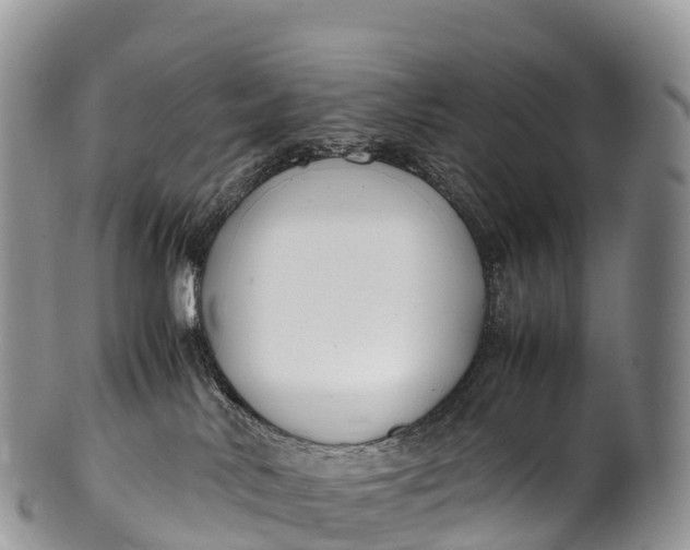 X0000100380042200806201701