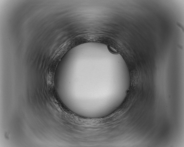 X0000100380044200806201701