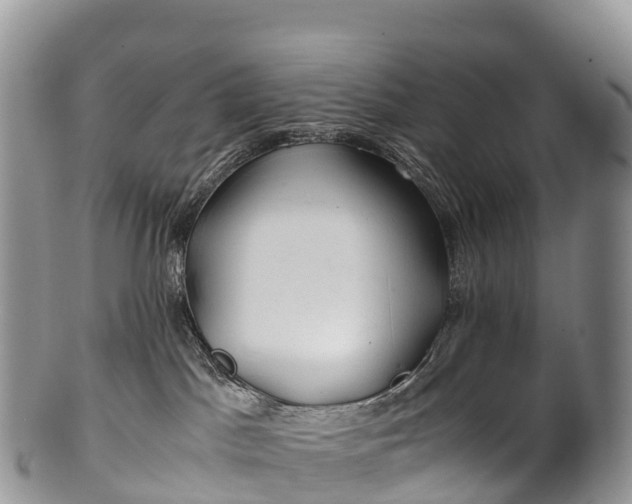 X0000100380045200806201701