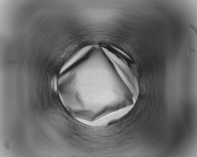 X0000100380046200806201701