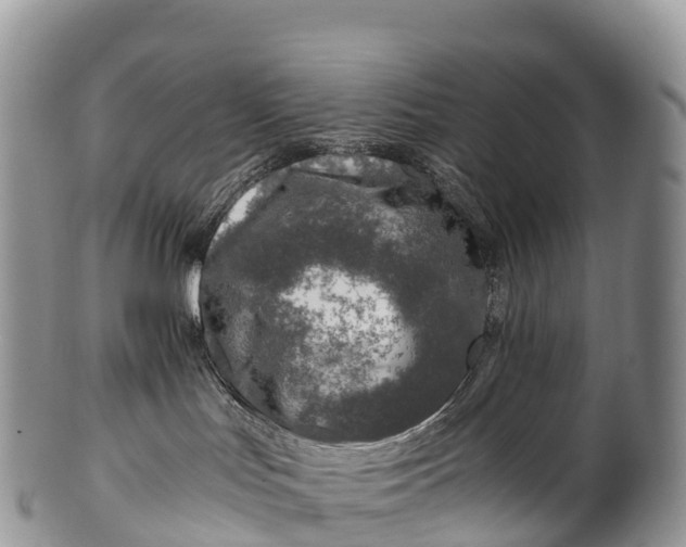 X0000100380047200806201701