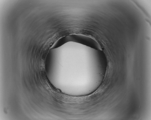 X0000100380048200806201701