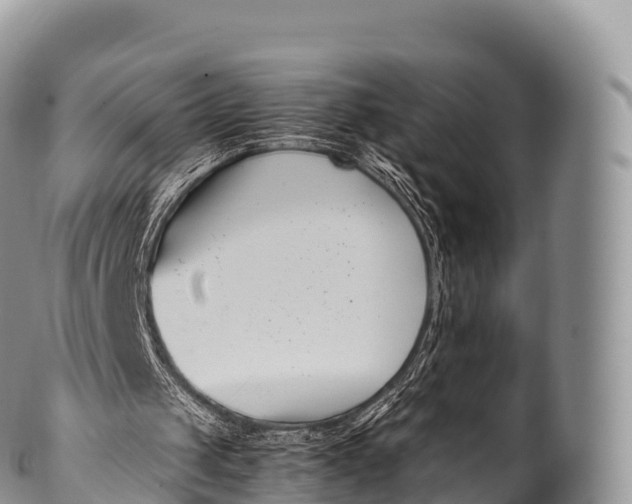 X0000100380049200806201700