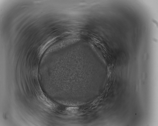 X0000100380051200806201700