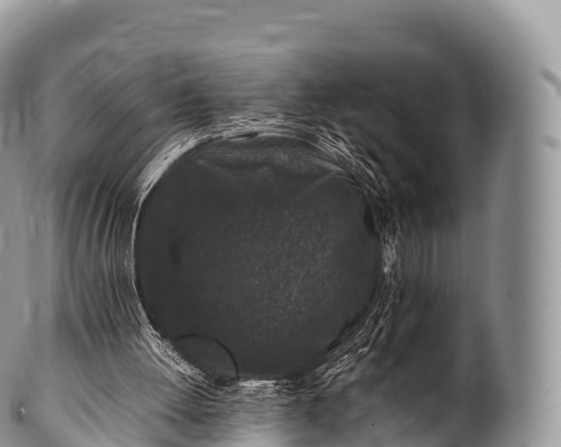 X0000100380052200806201700