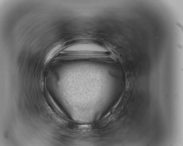 X0000100380053200806201700