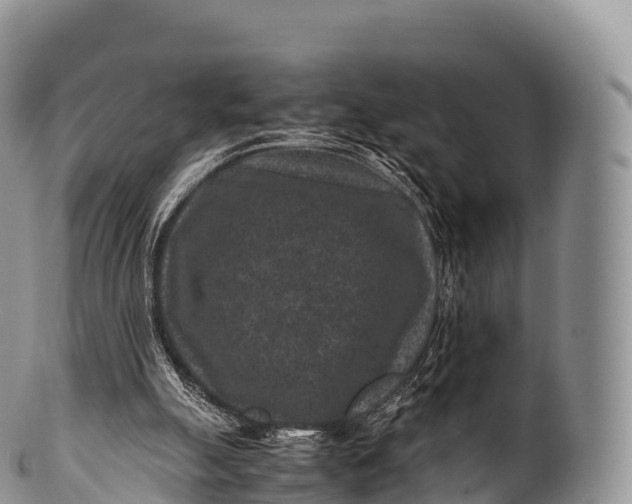 X0000100380055200806201700