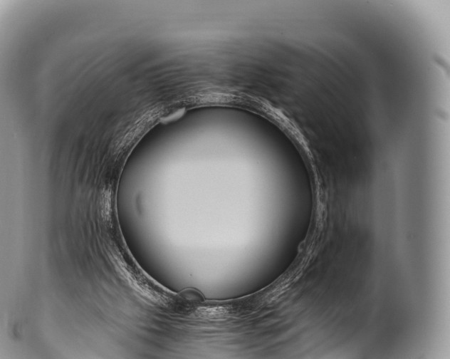 X0000100380057200806201700