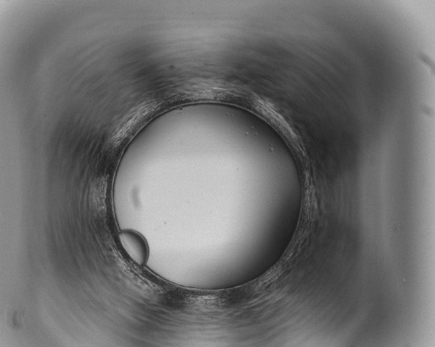 X0000100380058200806201700