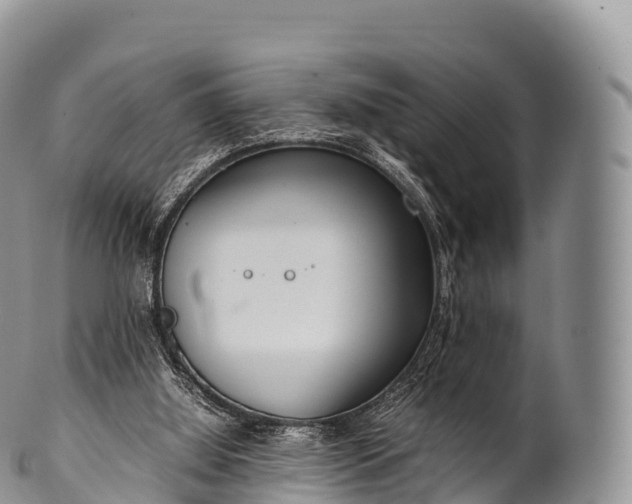 X0000100380060200806201700