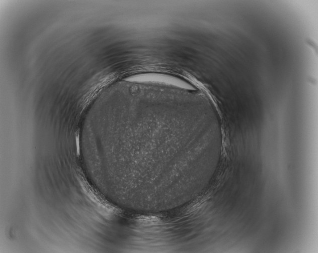 X0000100380061200806201700
