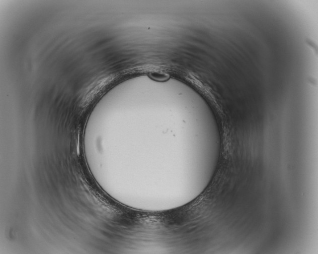 X0000100380062200806201700