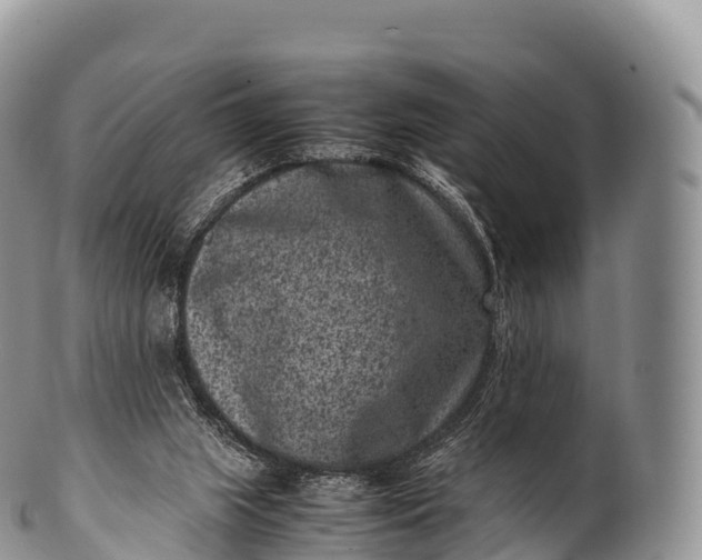 X0000100380063200806201700