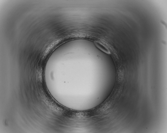 X0000100380064200806201700