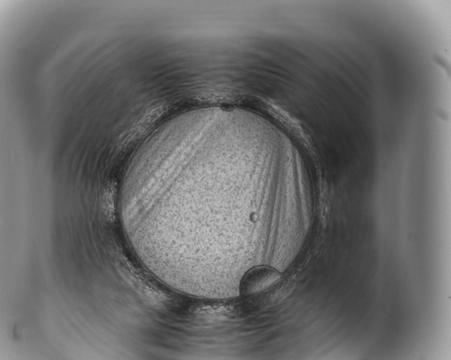 X0000100380065200806201700
