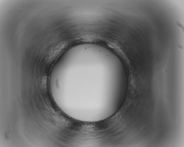 X0000100380066200806201700