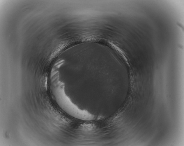 X0000100380067200806201700