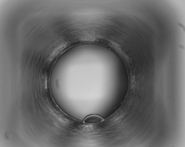 X0000100380068200806201700