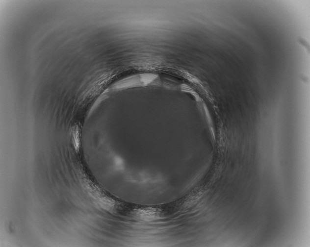 X0000100380069200806201700