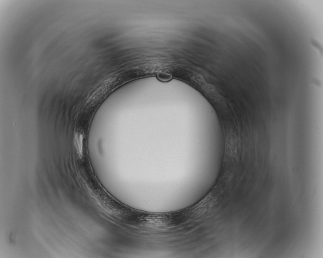 X0000100380070200806201700