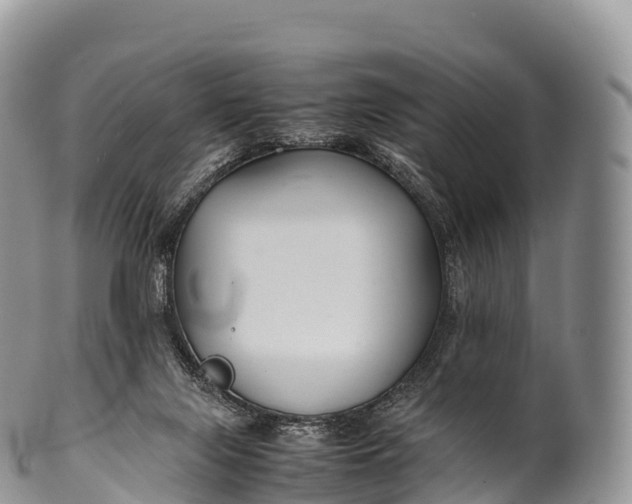 X0000100380071200806201700