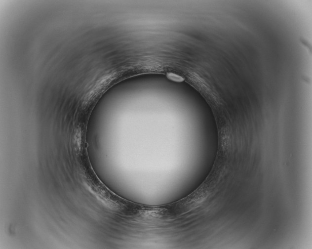X0000100380072200806201700