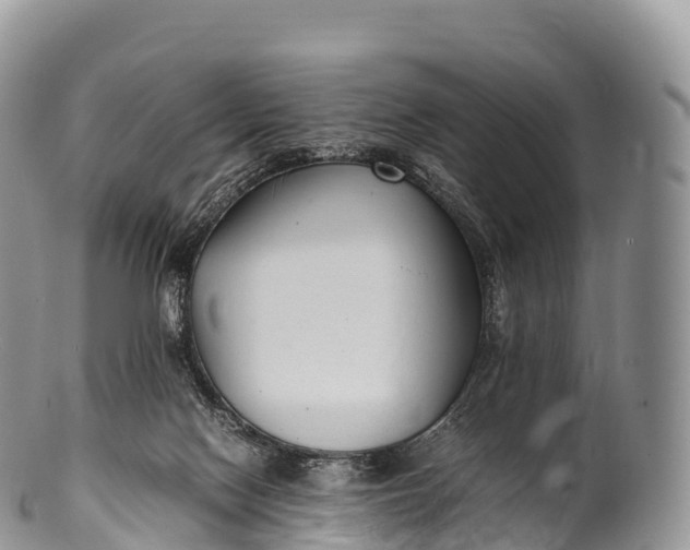 X0000100380074200806201700