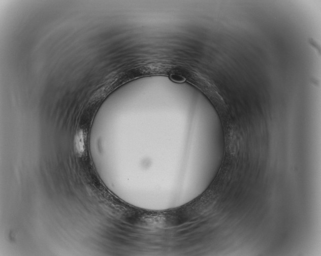 X0000100380075200806201700