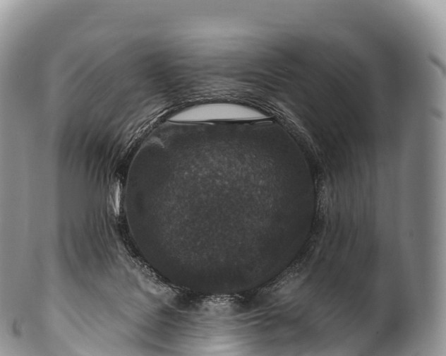 X0000100380076200806201700