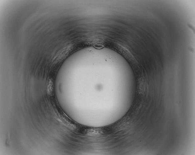 X0000100380077200806201700
