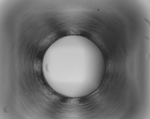 X0000100380078200806201700