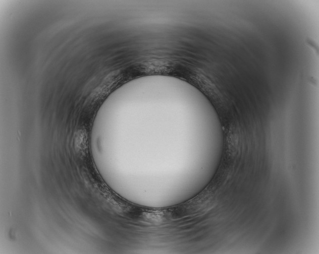 X0000100380079200806201700