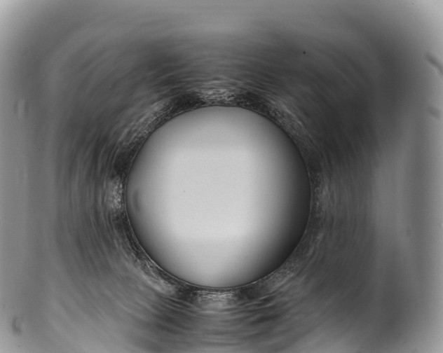 X0000100380081200806201700