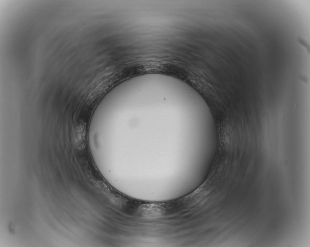 X0000100380082200806201700