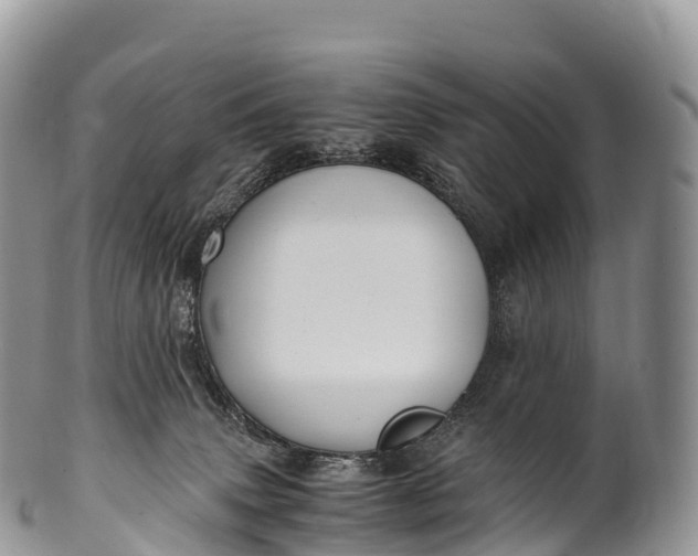 X0000100380083200806201700